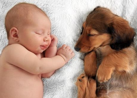 Pet and Baby Sleeping